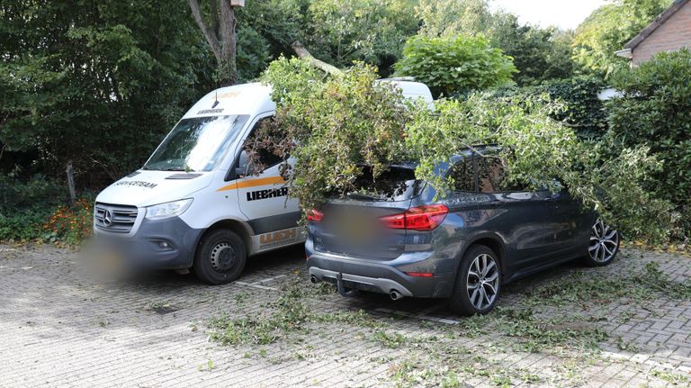 Aan de Amberberg in Roosendaal werden twee auto's getroffen door een zware tak (foto: Christian Traets/Persbureau Heitink).