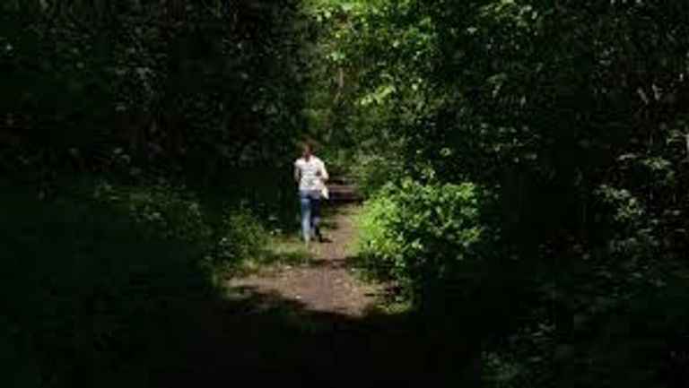 Elke eerste zondag van de maand organiseert D'n Brouwer in Mariaheide een wandeling. 