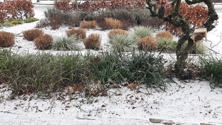 Een beetje Winter Wonderland in Valkenswaard (foto: Renate Verberne-de Wit).