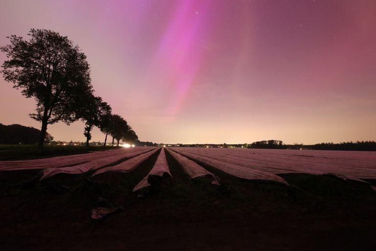 Het noorderlicht in het oosten van Middelbeers boven aspergebedden (foto: Zonnevogel.nu).