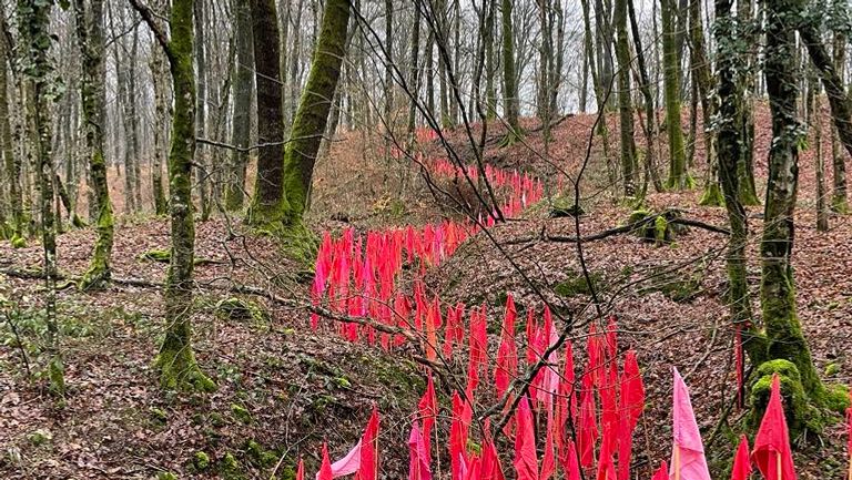 Een rivier van vlaggen, op een plek waar ooit een loopgraaf was (foto: Jean-Paul de Vries)