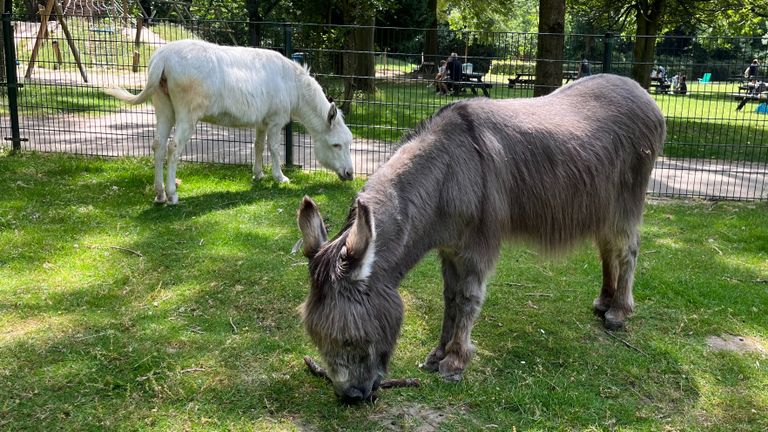 Anja (links) en Basje (rechts).