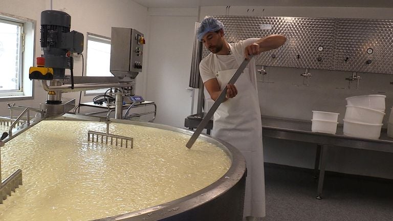 De melk uit Nuenen wordt langzaam kaas (foto: Omroep Brabant)