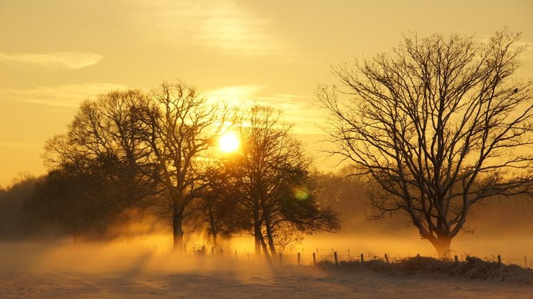 Morgenzon. (Foto: Gerard van Poppel, Zundert)