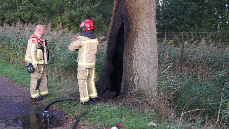 De schade aan de boom in Budel is aanzienlijk (foto: WdG/SQ Vision).