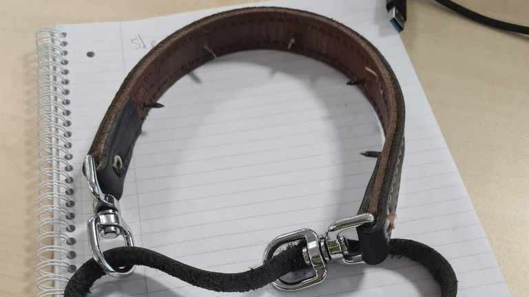 Foto: Dierenpolitie/Twitter.