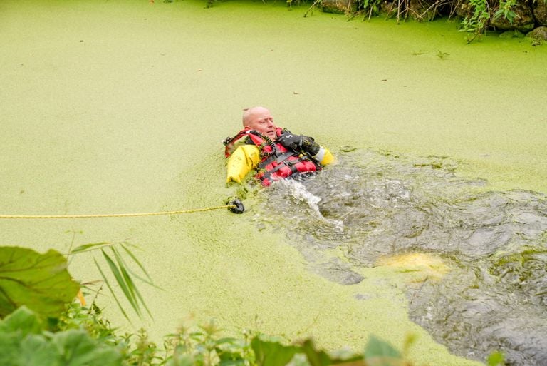 Een brandweerman haalde een nat pak om het dier te redden (foto: Harrie Grijseels/SQ Vision).