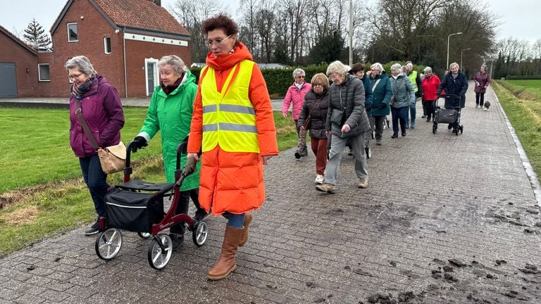 De wekelijkse wandeling is een groot succes (foto: Erik Peeters)