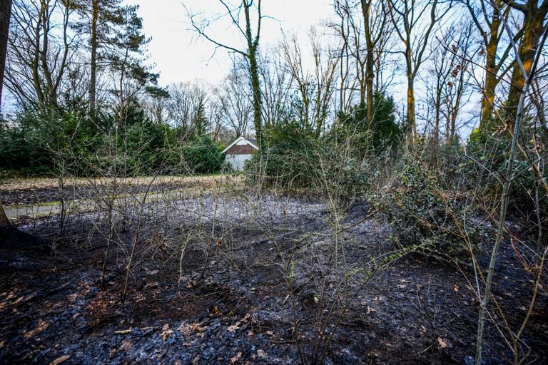 Het vuur was gevaarlijk dichtbij (foto: Persbureau Heitink).