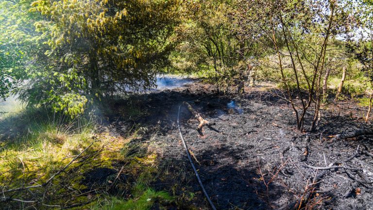 Deze natuurbrand in Heeze ontstond vermoedelijk tijdens het barbecueën (foto: Dave Hendriks/SQ Vision). 