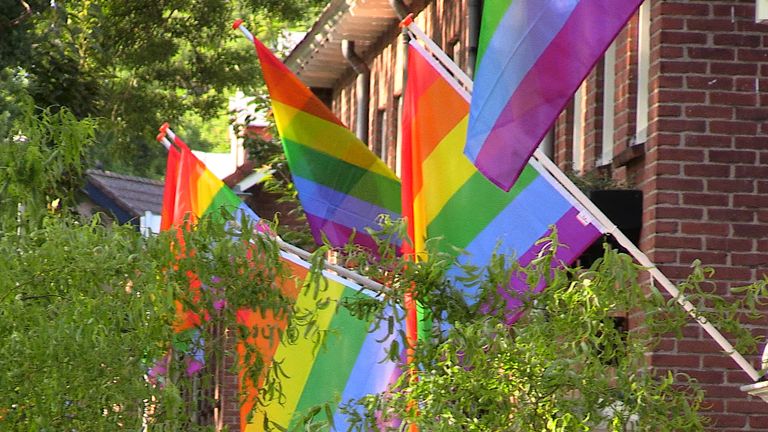 De regenboogvlaggen in de Leijparkweg. (foto: Omroep Brabant)