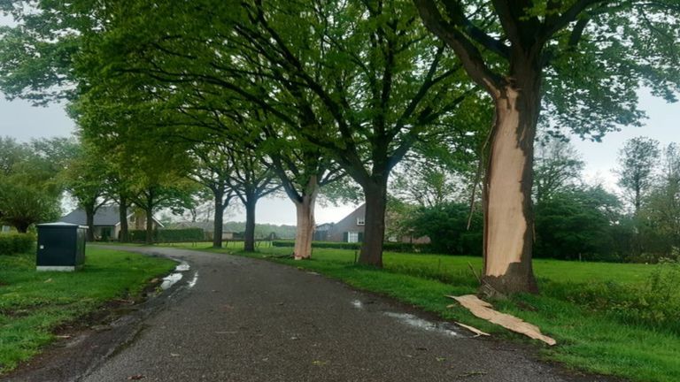 Ingeslagen bliksem in bomen zorgt voor veel schade: 'Nog nooit meegemaakt'