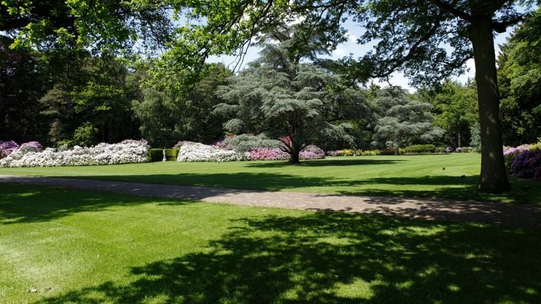 Een van de parktuinen bij de Wielewaal (foto: gemeente Eindhoven)