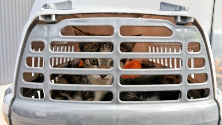 Foto: Toby de Kort/Persbureau Heitink.