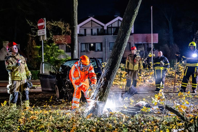 De boom waar de automobilist tegenaan reed, is door de brandweer in stukken gezaagd (foto: Jack Brekelmans.SQ Vision).