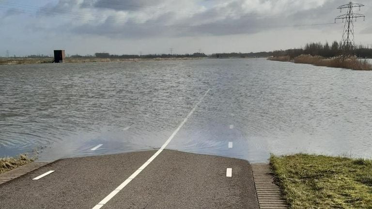 Veel wegen in de Biesbosch zijn vanwege het hoogwater niet begaanbaar (foto: Harm Blom).