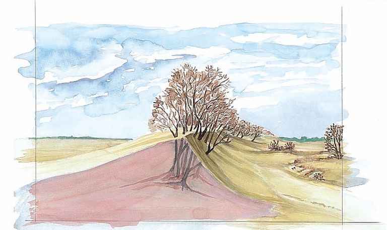 Een tekening van de windwerking op bomen in de Loonse en Drunense Duinen.