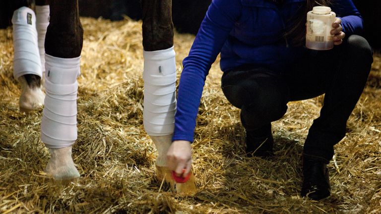 Foto: ANP/Hollandse Hoogte/Maikel Samuels.