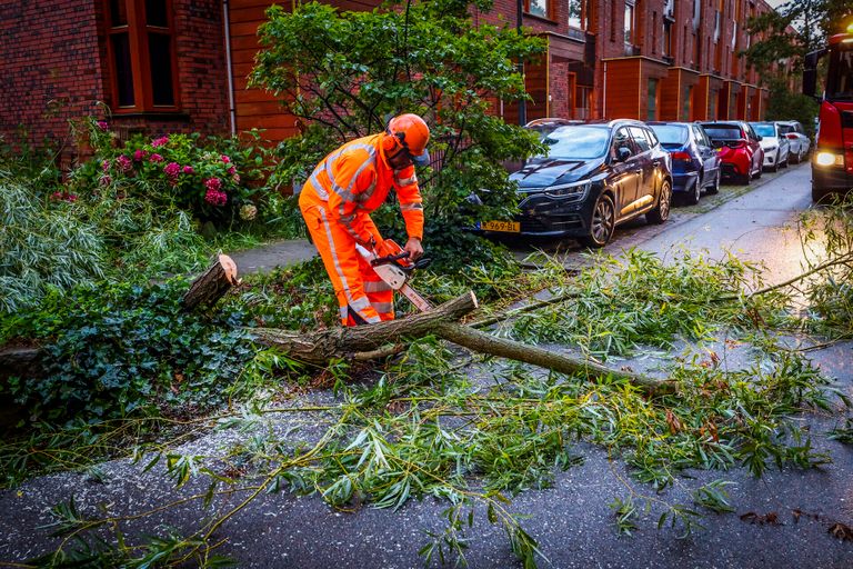 De brandweer zaagde een boom die tijdens het noodweer sneuvelde in stukken (foto: SQ Vision).