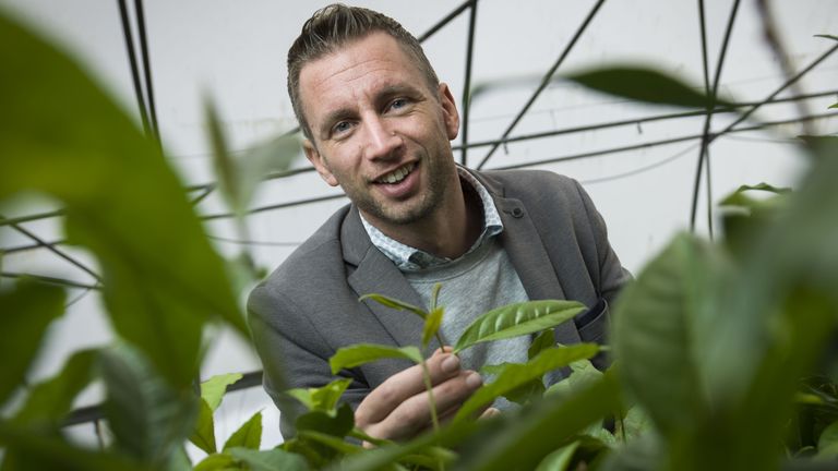 Johan Jansen tussen de theeplanten (foto: LocalThea).