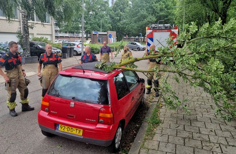 De tak brak af en waarde door het linnen dak van de auto in Tilburg (foto: Toby de Kort/SQ Vision).