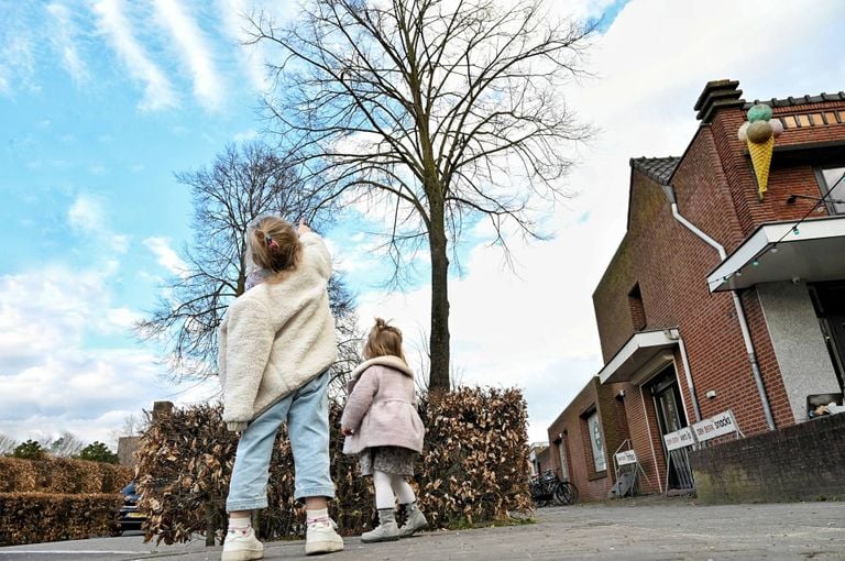 De kat trekt veel bekijks (foto Toby de Kort/Persbureau Heitink).