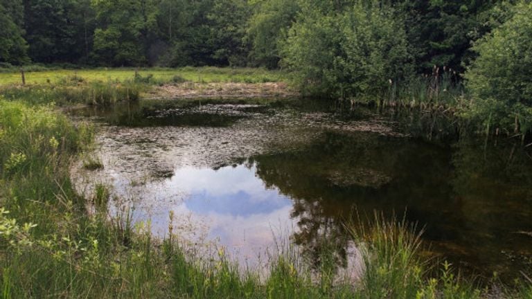 Natuurgebied Zevenhutten bij Cuijk (foto: Frans Kapteijns).