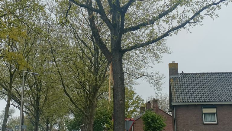 Blikseminslag Halsteren (foto: R. Rijkers).