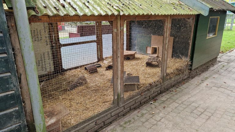 Het verblijf van de cavia's (foto: Tom Berkers).