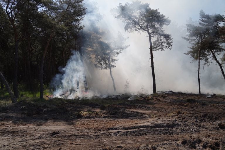 Bij der brand in Budel komt veel rook vrij (foto: WdG/SQ Vision).