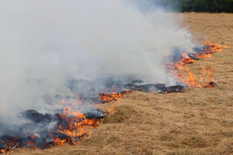 Hooi in brand in gemonde (Foto: Sander van Gils/SQ Vision