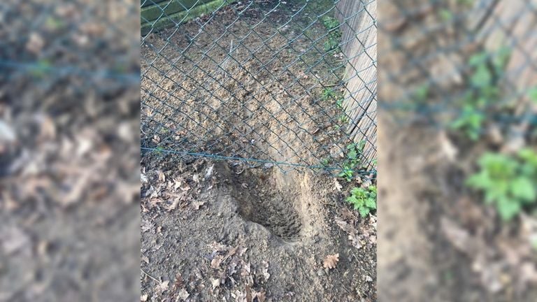 Fien vond een gegraven gat bij haar hek (foto: Fien Roefs).