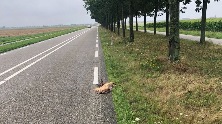 Foto: Weginspecteur Sven, provincie Noord-Brabant (Twitter). 