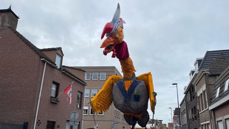 Vreemde vogel (foto: Rene van Hoof).