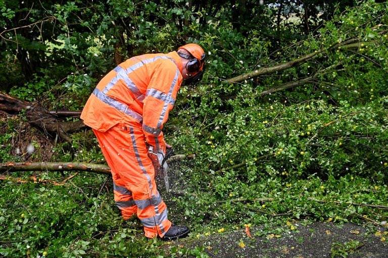 Brandweerlieden hebben de omgevallen boom in Haaren in stukken gehakt (foto: Toby de Kort/SQ Vision).