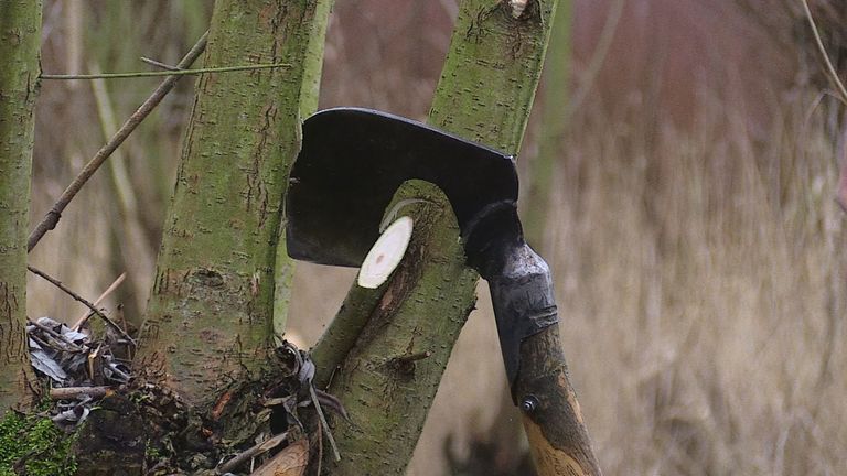 Griendwerkers in de Biesbosch, een eeuwenoud ambacht dat nog steeds bestaat