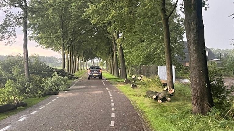 Omwonenden hebben de Latestraat verlost van de omgevallen bomen (foto: Corien Snijder).