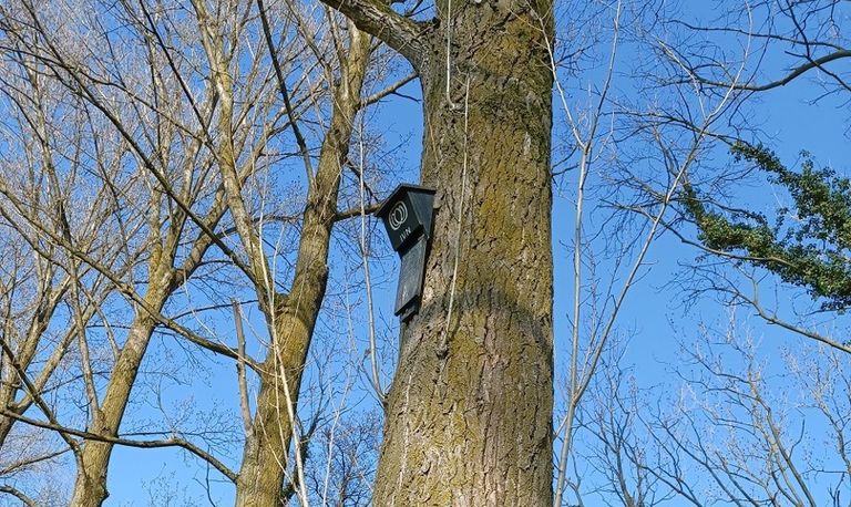 Een vleermuiskast (foto: Ida van de Reijt).