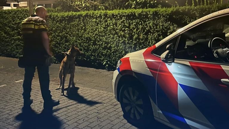 Eén van de ingezette politiehonden (foto: Instagram Jeugdagenten Bergen op Zoom).