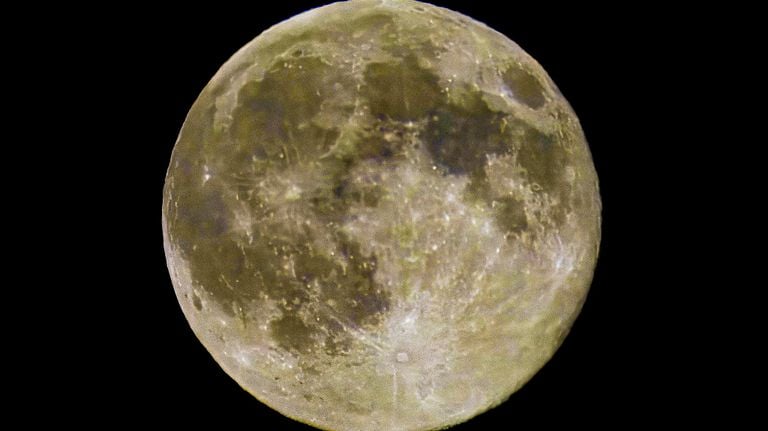 Foto: Ardy van Heesch-Van Kuijk. 