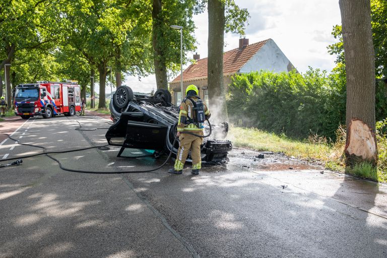 Ook de boom raakte beschadigd (foto: Christian Traets/SQ Vision).