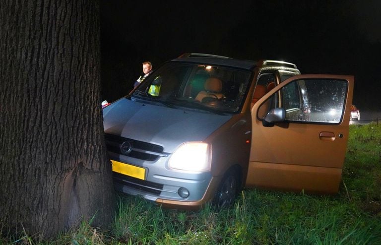 De boom kwam tot stilstand tegen een boom in de middenberm (foto: SQ Vision/Bart Meesters).