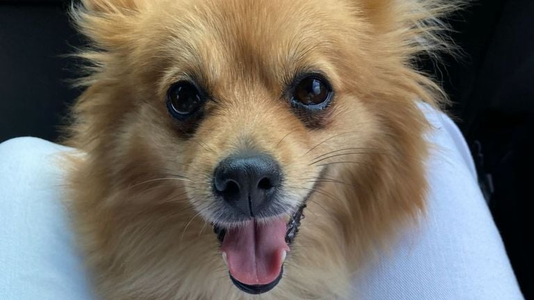 Keesje en haar blije snoet (foto: Anouk Kam).