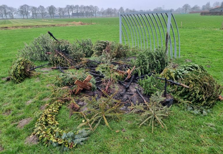 Van de kerstbomen bleef weinig over (foto: Toby de Kort/SQ Vision).