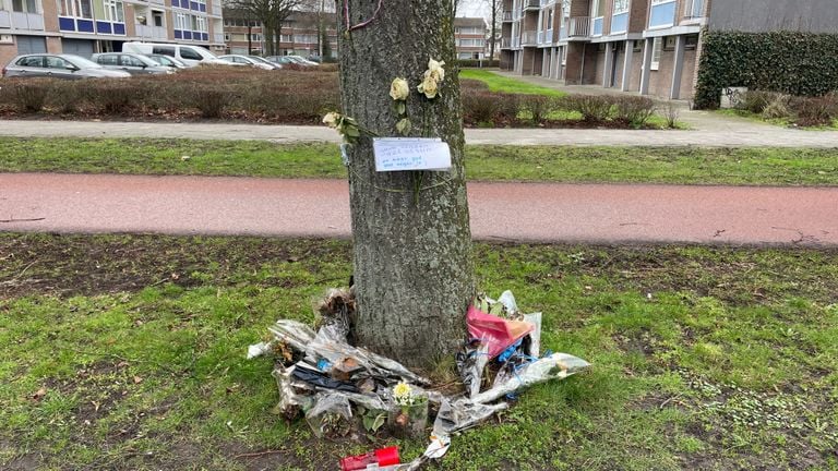 In de buurt van de plek waar het ongeluk gebeurde, was lange tijd een monument aangebracht (foto: Hans Janssen).