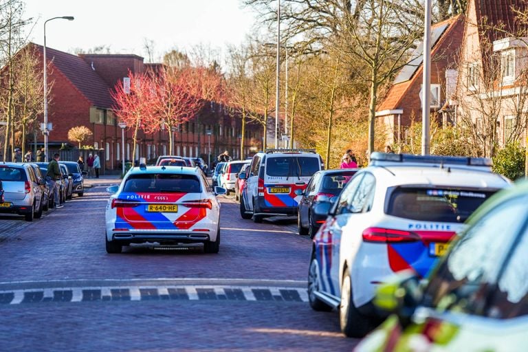 De politie rijdt met auto's door de wijk om de verdachte op te speuren (foto: Persbureau Heitink).