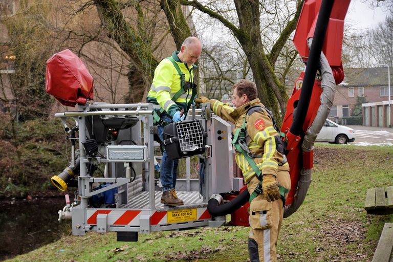 De meeuw werd gered (foto: Toby de Kort / SQ Vision).