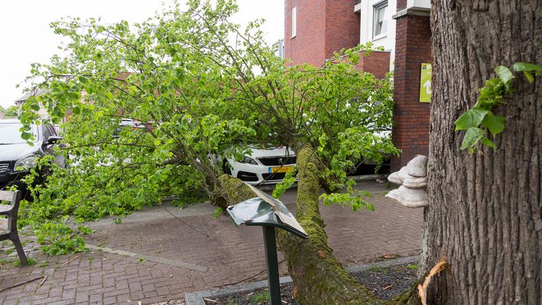 De tak bovenop de auto (foto: Albert Hendriks/Overloon Nieuws).