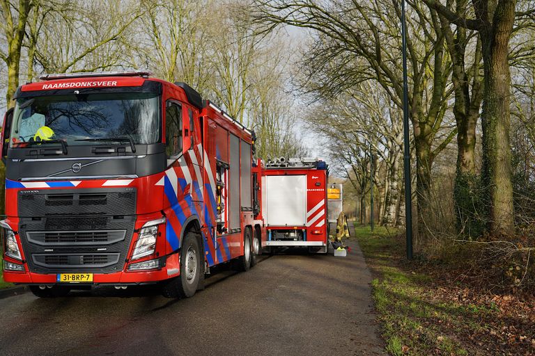 De brandweer werd ingeschakeld om de tak in stukken te zagen (foto: Jeroen Stuve/SQ Vision).