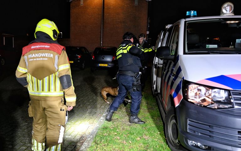 De hond van het slachtoffer wordt in een politiebusje gezet (foto: SQ Vision).